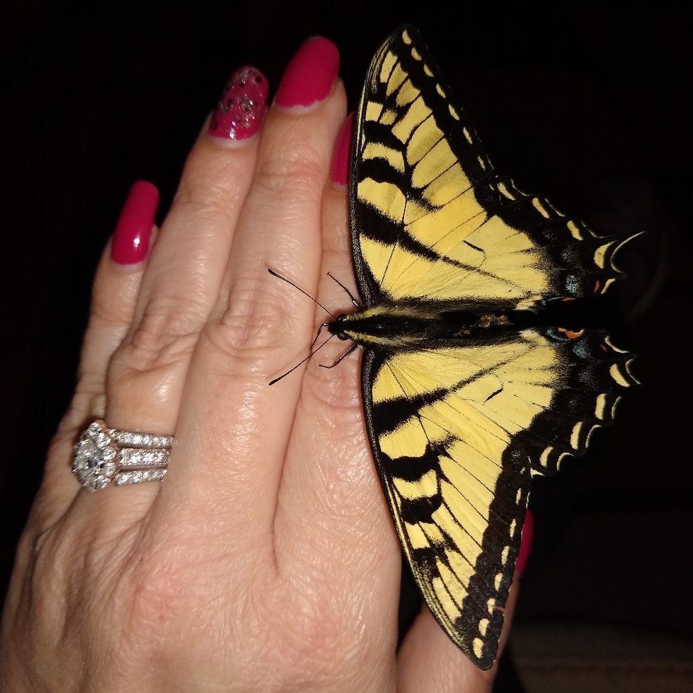 🌟Meet Your Posher, Rebecca🌟